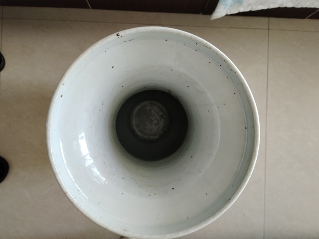 古玩陶瓷清中期纏枝花卉紋瓶真品鑒賞圖