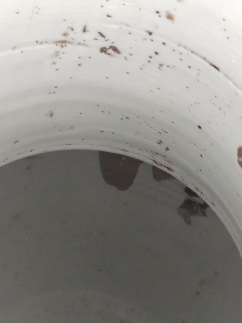 古玩陶瓷清中期纏枝花卉紋瓶真品鑒賞圖