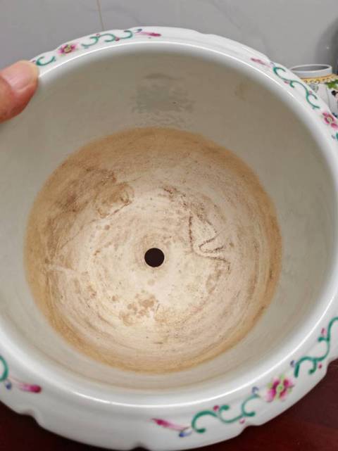 古玩陶瓷粉彩夔龍紋花盆真品鑒賞圖