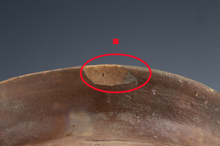 古玩陶瓷明以前·青釉水波紋雙系瓶真品鑒賞圖