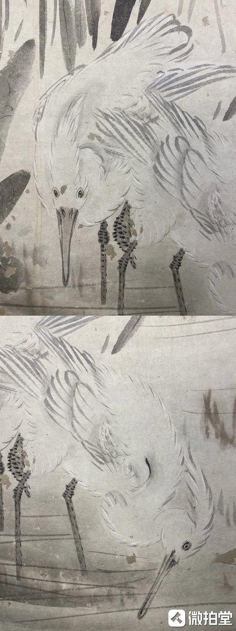 古玩字畫佚名真品鑒賞圖