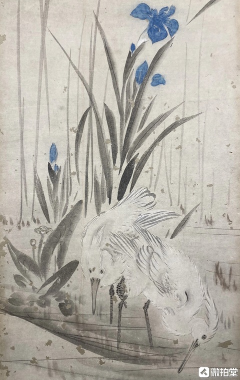 古玩字畫佚名真品鑒賞圖