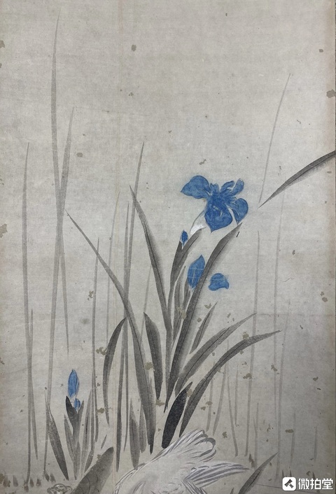 古玩字畫佚名真品鑒賞圖