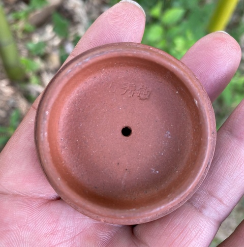 古玩雜項紫砂壺真品鑒賞圖