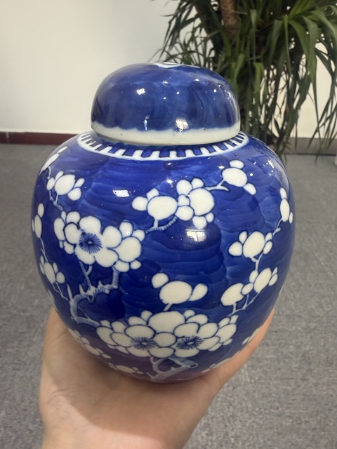 古玩陶瓷青花留白冰梅紋蓋罐真品鑒賞圖