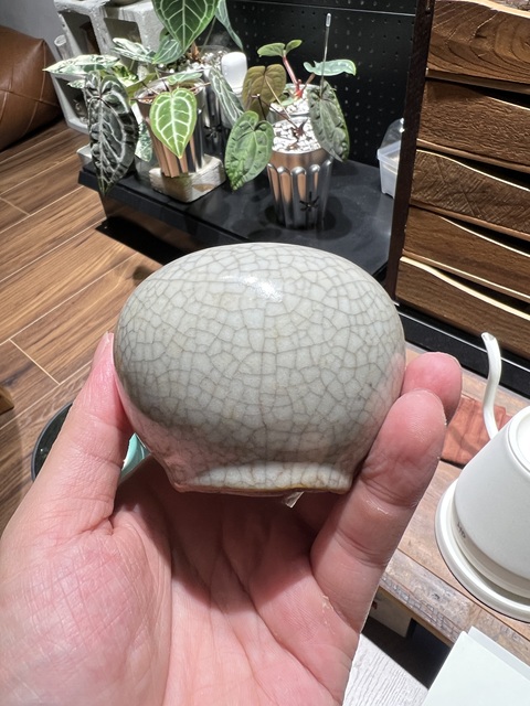 古玩陶瓷哥釉水盂真品鑒賞圖