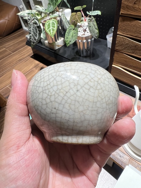 古玩陶瓷哥釉水盂真品鑒賞圖