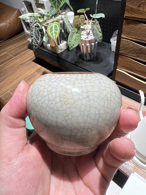 古玩陶瓷哥釉水盂真品鑒賞圖