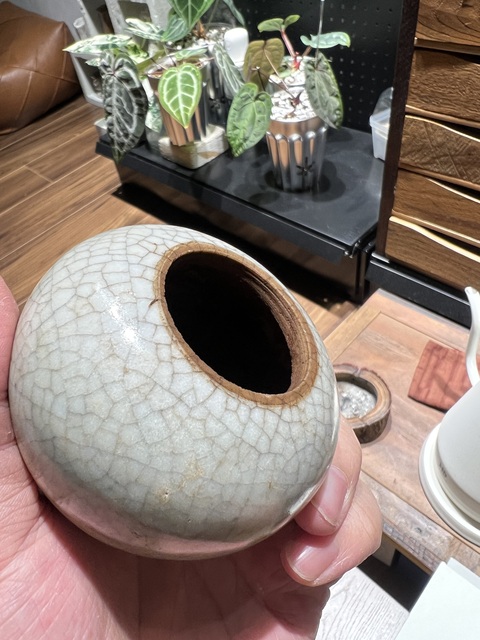 古玩陶瓷哥釉水盂真品鑒賞圖