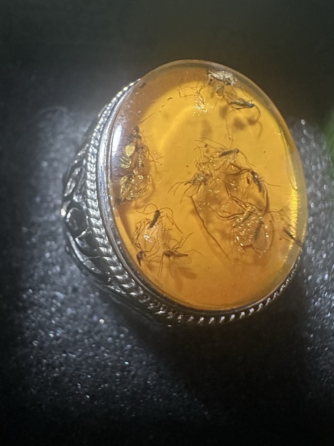 古玩玉器天然波羅的海琥珀戒指拍賣，當前價格1000元