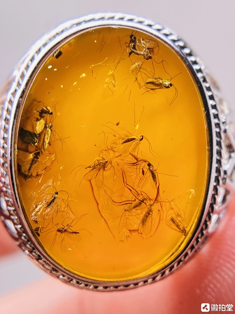 古玩玉器天然波羅的海琥珀戒指拍賣，當前價格1000元