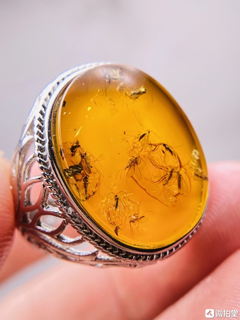 古玩玉器天然波羅的海琥珀戒指拍賣，當前價格1000元
