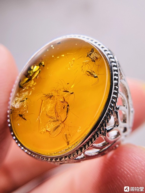 古玩玉器天然波羅的海琥珀戒指拍賣，當前價格1000元