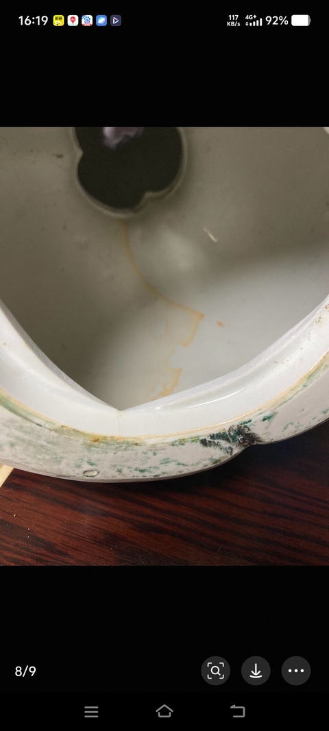 古玩陶瓷日本大正青花花鳥葫蘆瓶真品鑒賞圖