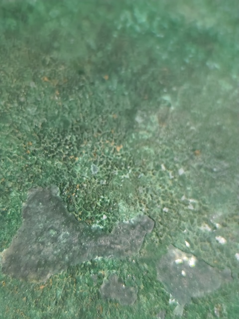 古玩銅器宋代花口銅鏡全品拍賣，當(dāng)前價格800元