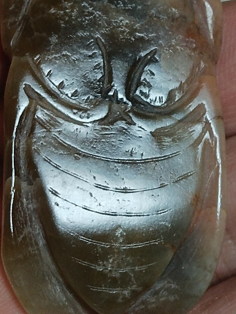 古玩玉器玉蟬真品鑒賞圖