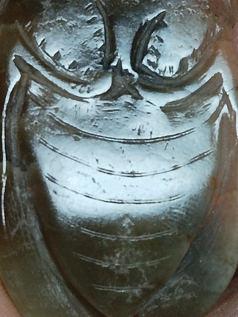 古玩玉器玉蟬真品鑒賞圖