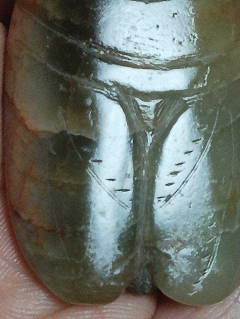 古玩玉器玉蟬真品鑒賞圖