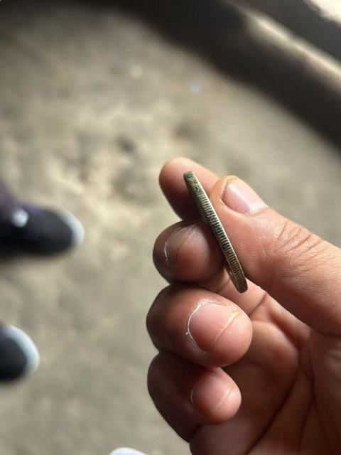 古玩錢幣江南省造光緒元寶真品鑒賞圖