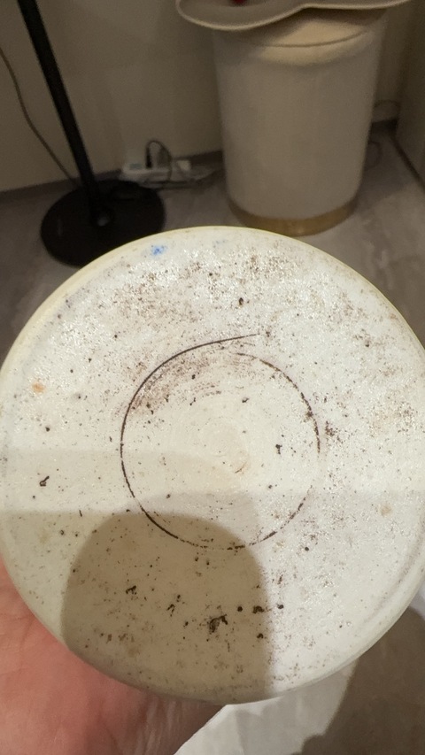 古玩陶瓷青花加彩筒瓶真品鑒賞圖