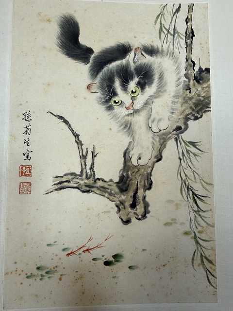 古玩字畫孫菊生貓魚圖真品鑒賞圖