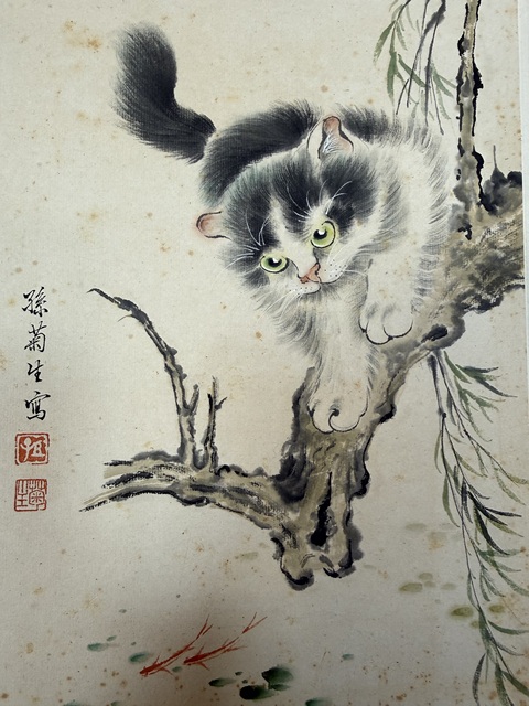 古玩字畫孫菊生貓魚圖真品鑒賞圖