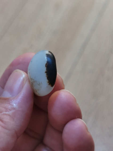 古玩玉器和田玉籽料原石真品鑒賞圖