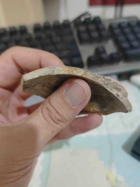 古玩陶瓷獅耳爐標本真品鑒賞圖