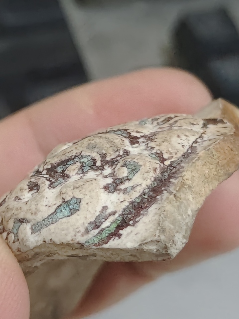 古玩陶瓷獅耳爐標本真品鑒賞圖