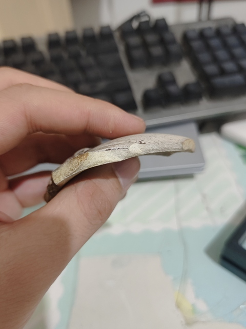 古玩陶瓷獅耳爐標本真品鑒賞圖