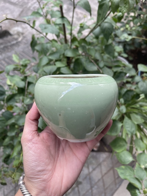 古玩陶瓷民國.豆青釉水洗(琴爐)拍賣，當(dāng)前價格500元