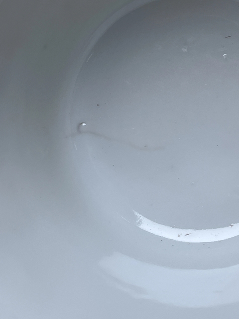 古玩陶瓷粉彩連理花紋蓋碗真品鑒賞圖