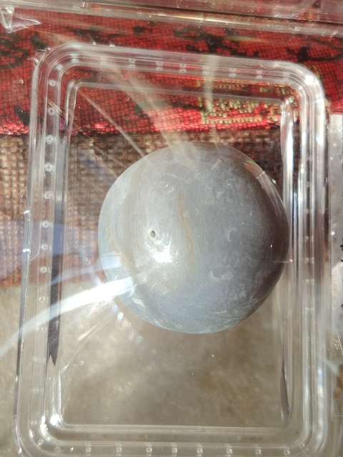 古玩玉器瑪瑙“影舍利”真品鑒賞圖