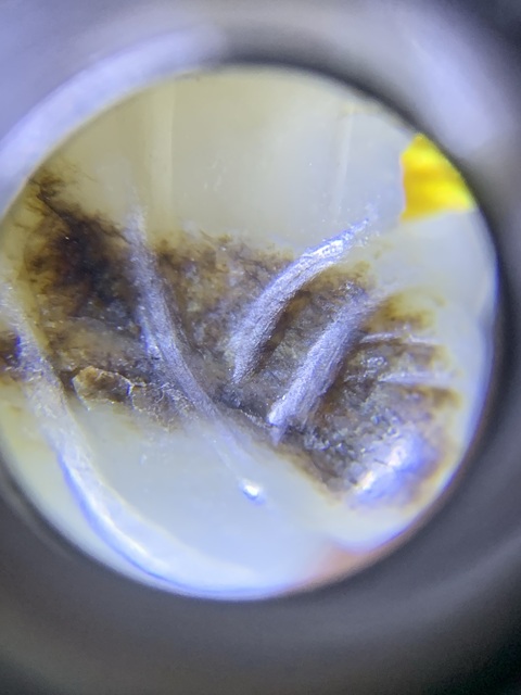 古玩玉器和田玉蟬形手串真品鑒賞圖