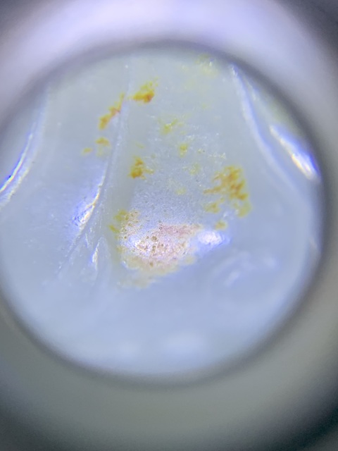 古玩玉器和田玉蟬形手串真品鑒賞圖