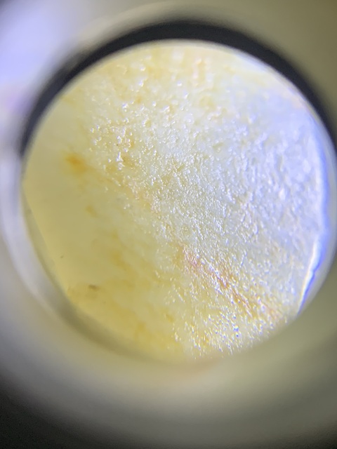 古玩玉器和田玉蟬形手串真品鑒賞圖