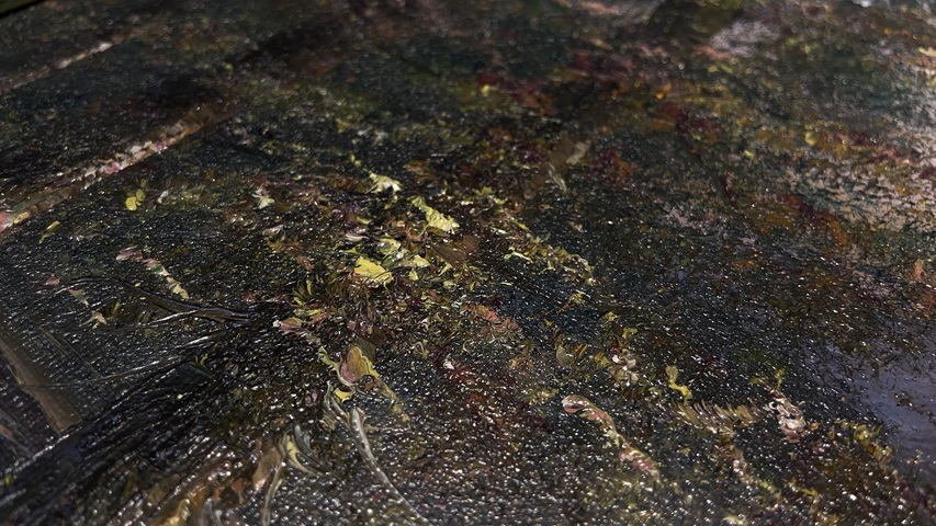 古玩字畫老油畫風景真品鑒賞圖