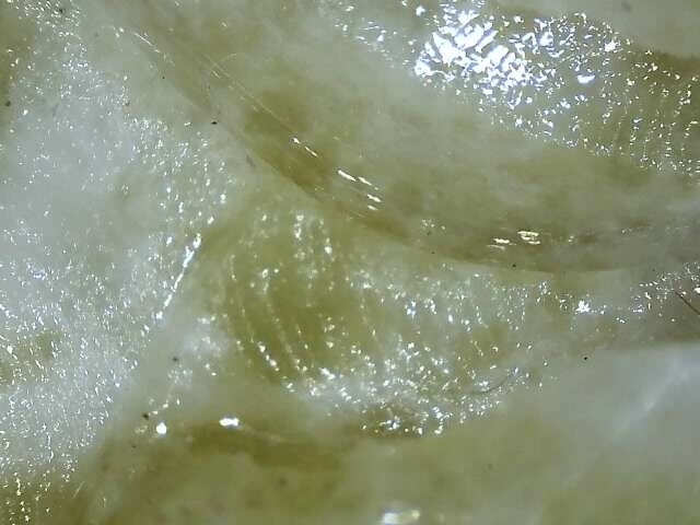 古玩玉器鬼球真品鑒賞圖