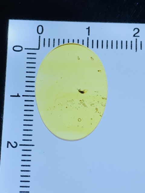 古玩雜項琥珀真品鑒賞圖