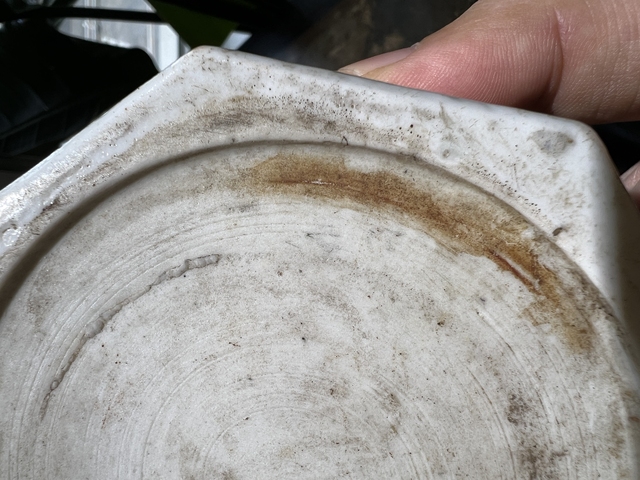 古玩陶瓷明晚期真品鑒賞圖