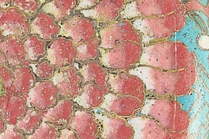 古玩陶瓷折沿洗真品鑒賞圖