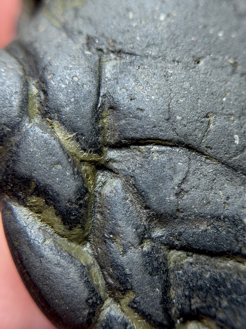 古玩雜項擦擦真品鑒賞圖