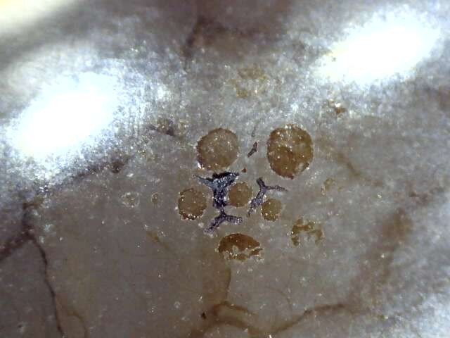 古玩玉器新工藝天珠真品鑒賞圖