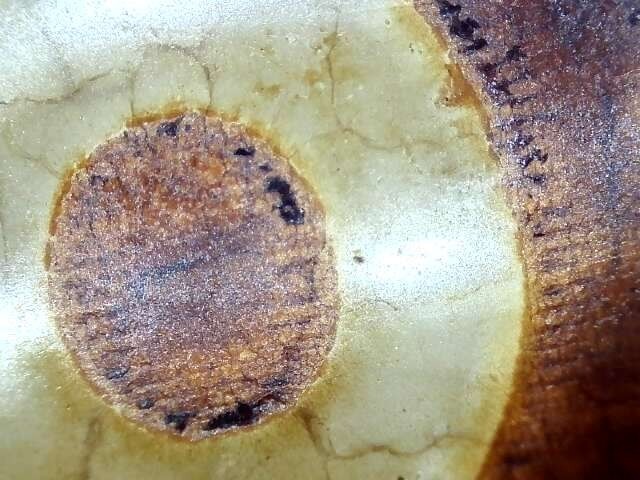 古玩玉器新工藝天珠真品鑒賞圖