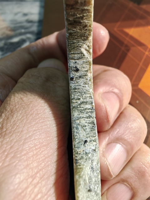 古玩玉器玉璧標本真品鑒賞圖