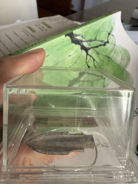 古玩銅器箭簇真品鑒賞圖