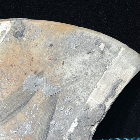 古玩陶瓷粉彩花卉紋瓷板真品鑒賞圖