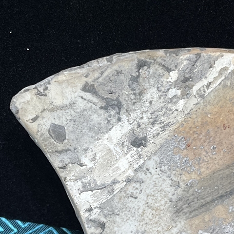 古玩陶瓷粉彩花卉紋瓷板真品鑒賞圖