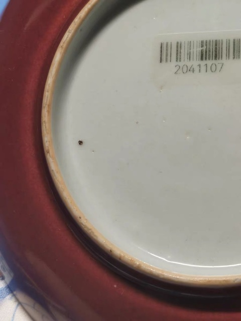 古玩陶瓷霽紅釉盤真品鑒賞圖