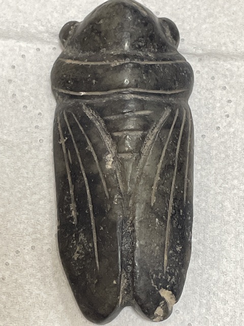 古玩玉器和田玉蟬真品鑒賞圖